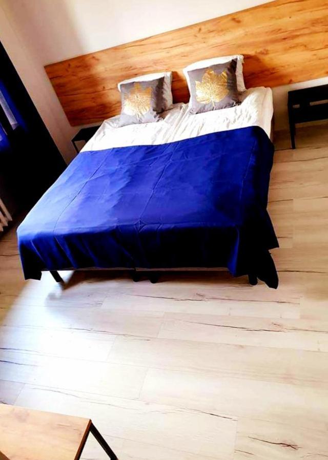 Vistula Two-Bedroom Apartment Płock Eksteriør billede